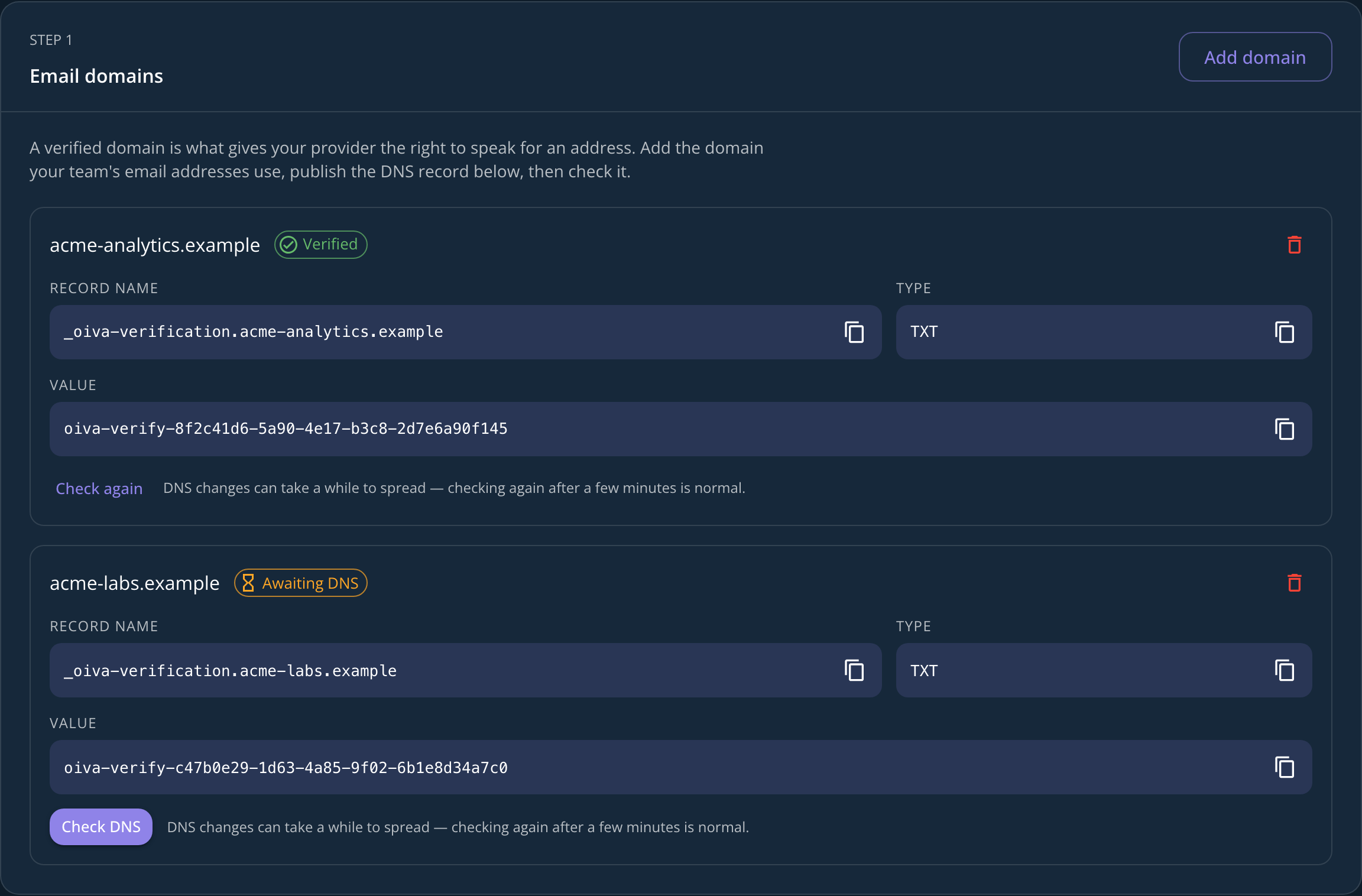 The email domains step, with one verified domain and one awaiting its DNS record
